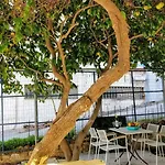 Amazing Apartment 100 Meters From The Old Town