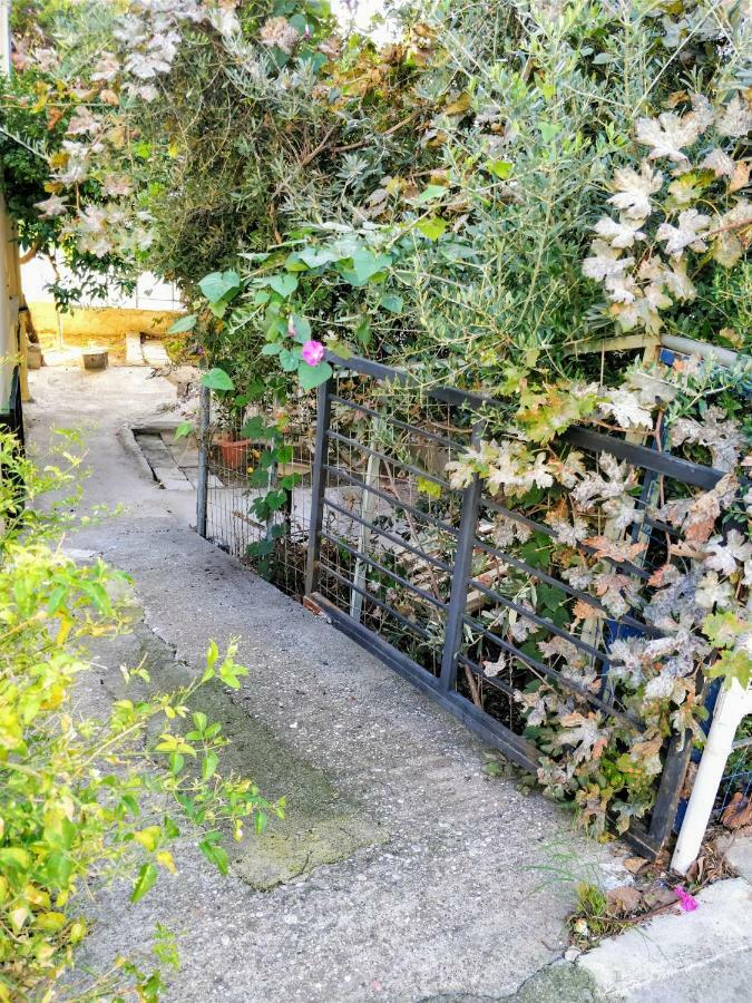 Amazing 100 Meters From The Old Town Leilighet *